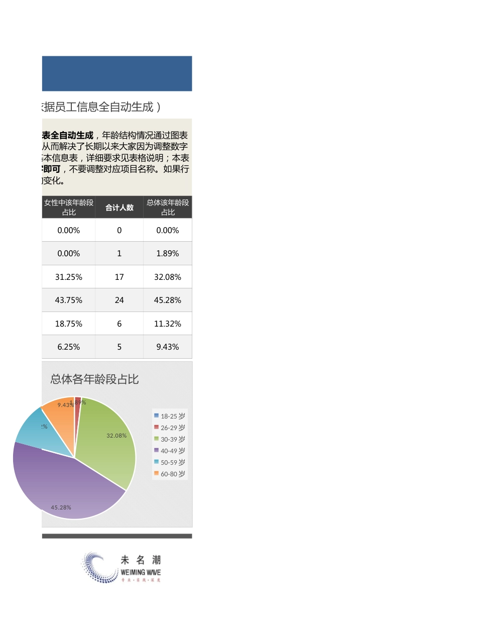 【人力资源管理工具】人力资源年龄结构自动分析（可任意设置年龄段）_第3页