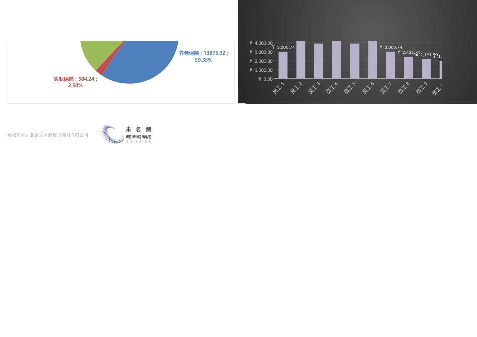 【薪酬管理工具】公司社保福利费用结构分析表（含住房公积金）_第3页