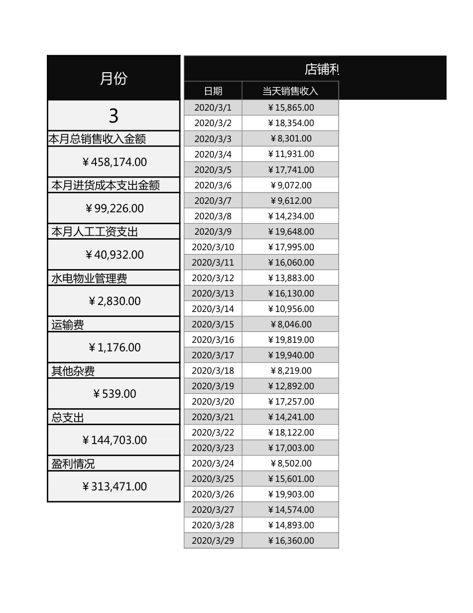 155店铺利润表财务报表_第1页