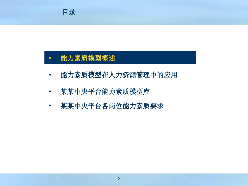 某知名企业能力素质模型——精典案例_第2页