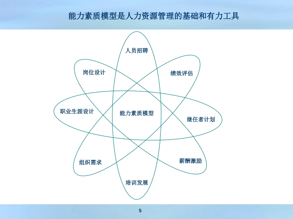 某知名企业能力素质模型——精典案例_第5页