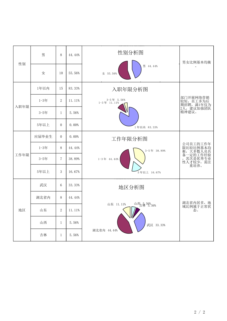 人力资源结构分析表_第2页