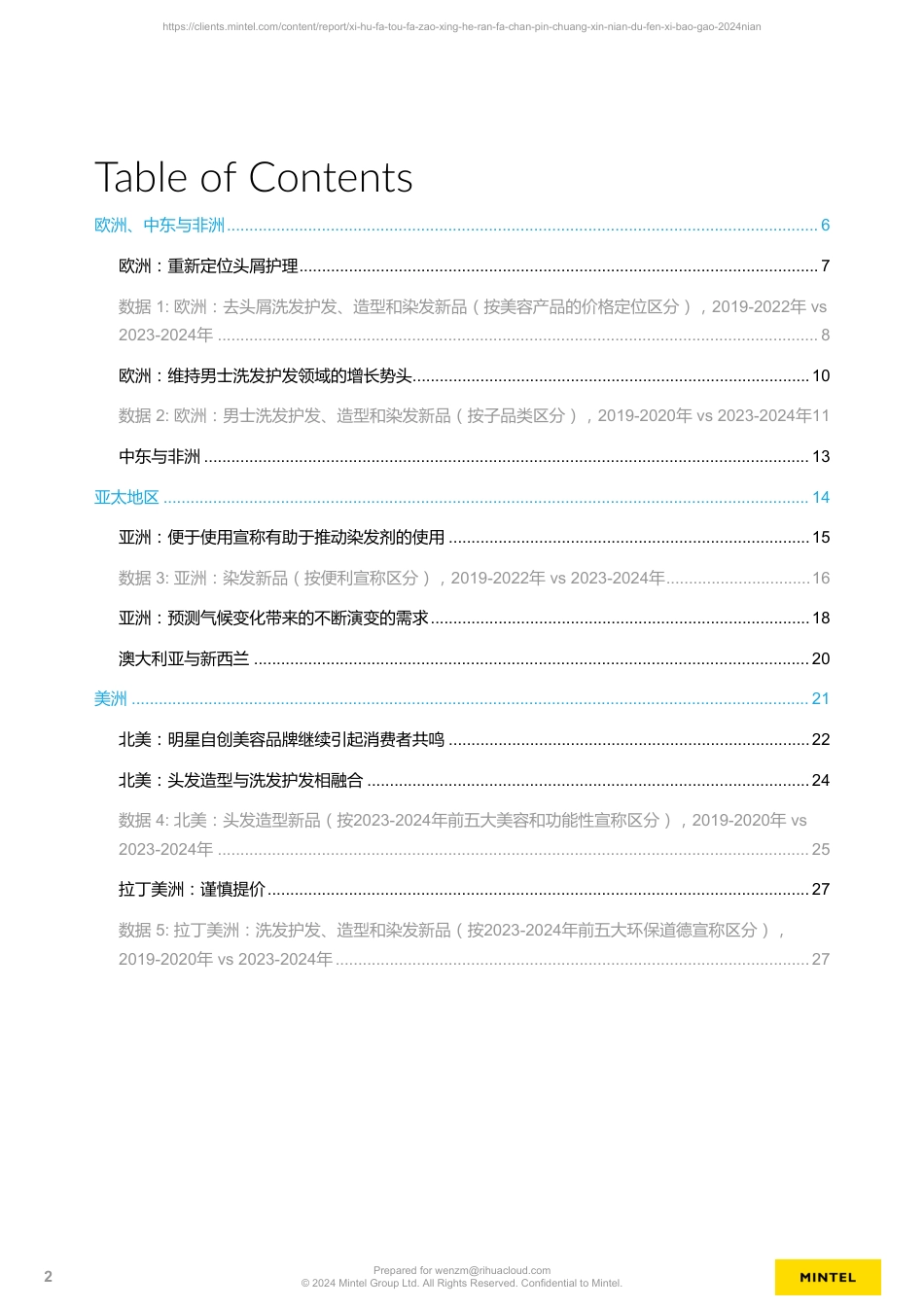 洗护发、头发造型和染发产品创新年度分析报告2024-29页_第2页