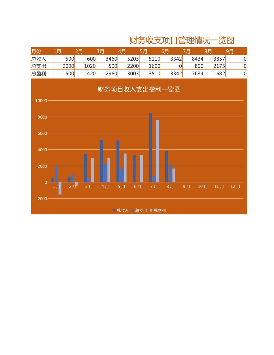 财务收支项目管理自动化报表系统_第3页