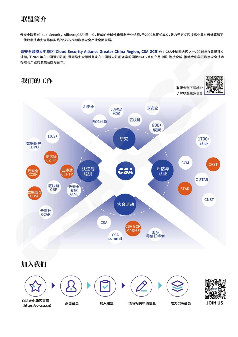 《以零信任应对AI部署中的影子访问风险》-14页_第2页